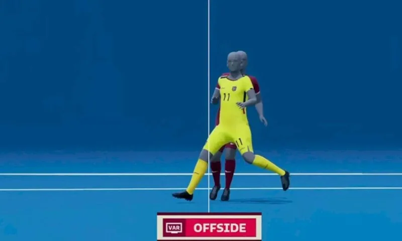 luat viet vi